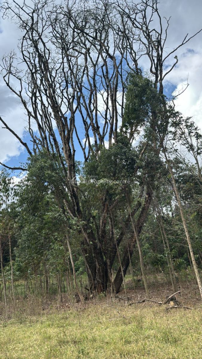 4 Acres, Karen Dagoreti Road, Karen, Nairobi, Residential Land for Sale