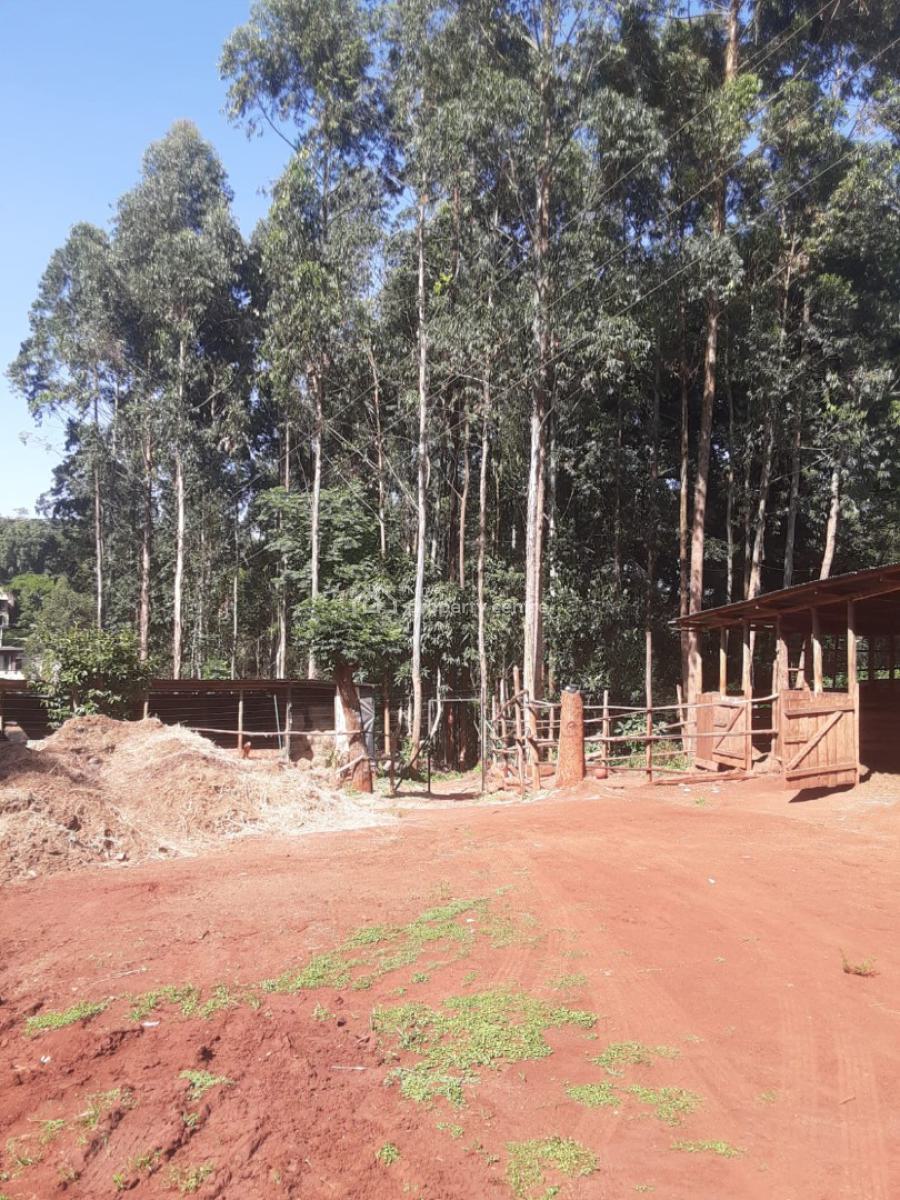 0.5 Acres Parcel of Land, Old Kitisuru, Kitisuru, Nairobi, Residential Land for Sale