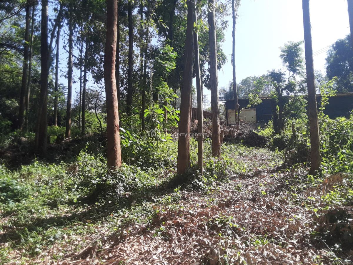 0.5 Acres Parcel of Land, Old Kitisuru, Kitisuru, Nairobi, Residential Land for Sale