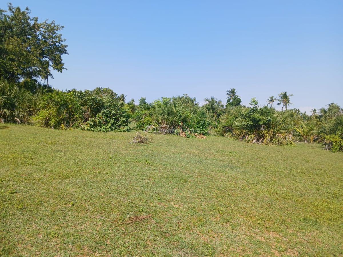 Serene and Prime Coastal Living Plots, Diani, Tiwi, Kwale, Mixed-use Land for Sale