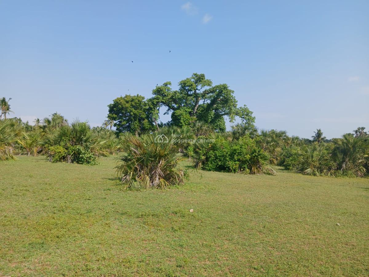 Serene and Prime Coastal Living Plots, Diani, Tiwi, Kwale, Mixed-use Land for Sale