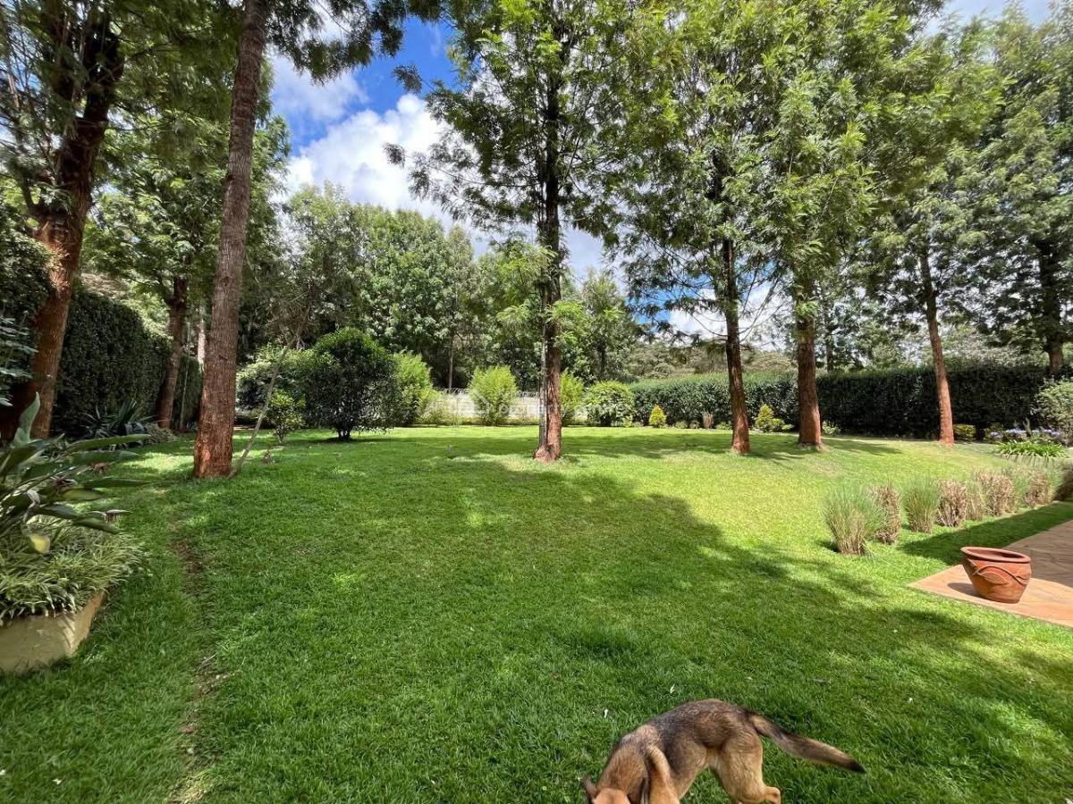 5 Bedroom House, Kerarapon Road, Karen, Nairobi, Townhouse for Rent