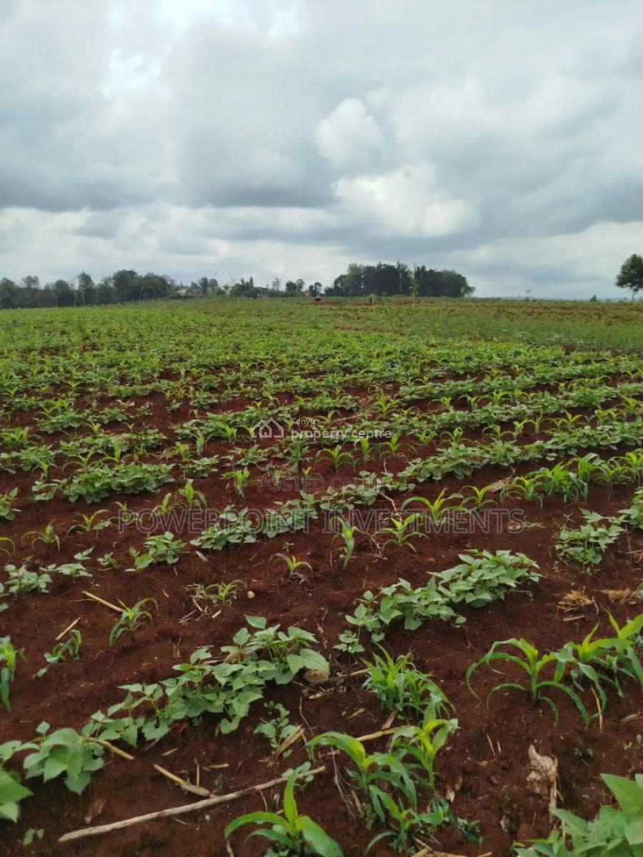 Land for Lease, Northern Bypass Next to The Two Rivers Mall, Ruaka, Northern Bypass, Two Rivers, Ruaka, Ruaka, Kiambu, Mixed-use Land for Rent