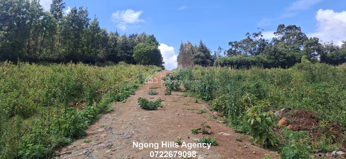 Residential Plots  in Kibiko, Ngong, Kibiko, Ngong, Kajiado, Land for Sale