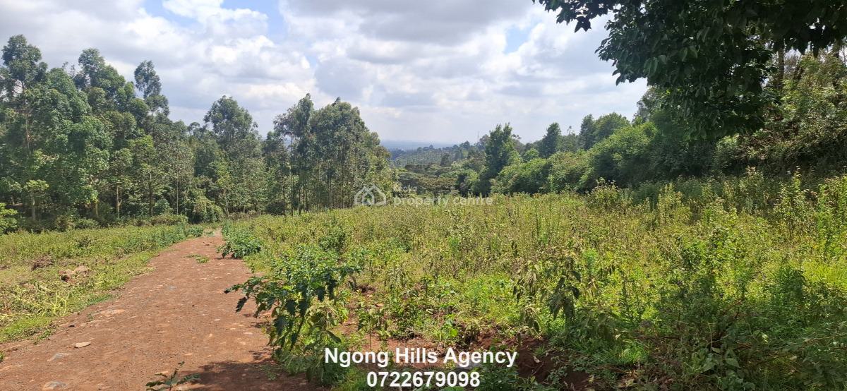 Residential Plots  in Kibiko, Ngong, Kibiko, Ngong, Kajiado, Land for Sale