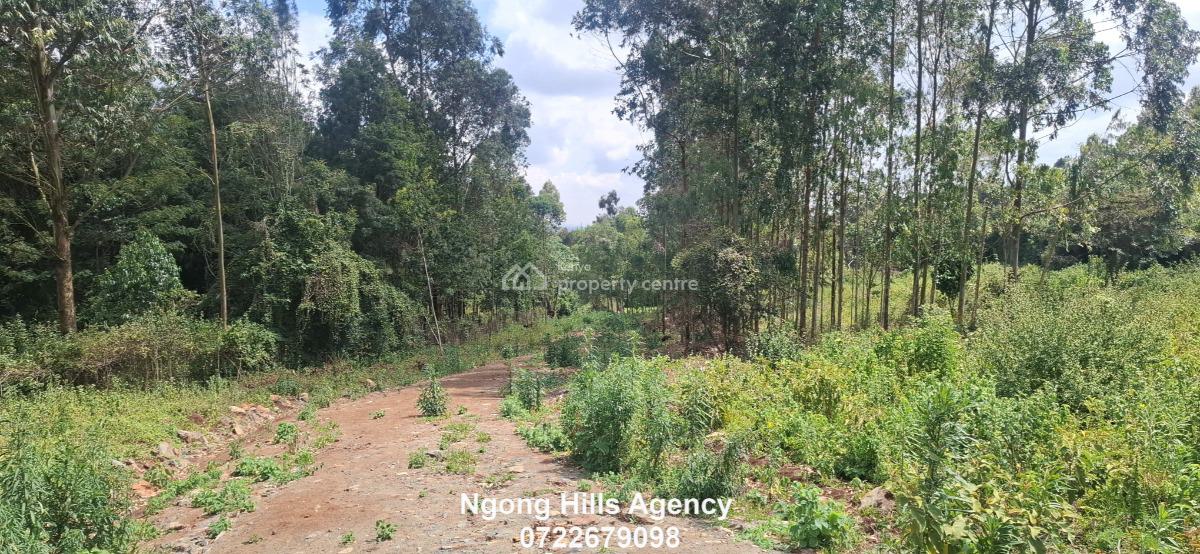 Residential Plots  in Kibiko, Ngong, Kibiko, Ngong, Kajiado, Land for Sale