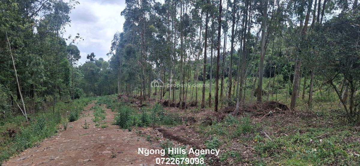 Residential Plots  in Kibiko, Ngong, Kibiko, Ngong, Kajiado, Land for Sale
