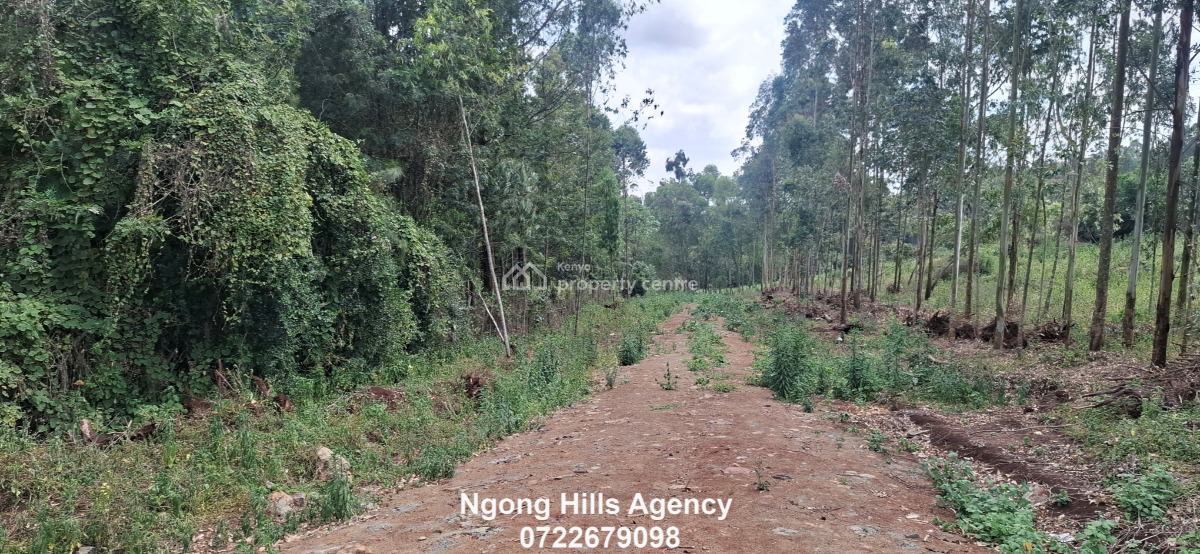 Residential Plots  in Kibiko, Ngong, Kibiko, Ngong, Kajiado, Land for Sale