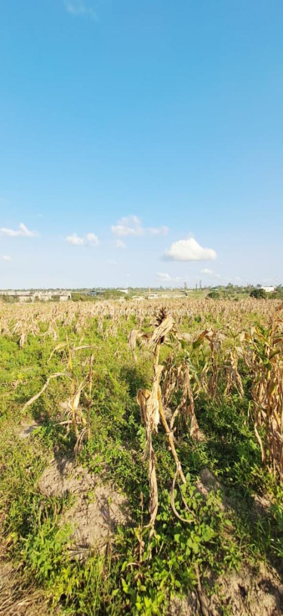 Prime 10 Acres Land Touching The Road, Mariakani, Kilifi, Land for Sale
