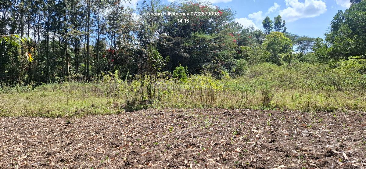 a Prime 1-acre Canvas at Nairobis Next Growth Epicenter, Kerarapon Drive, Ngong, Kajiado, Commercial Land for Sale