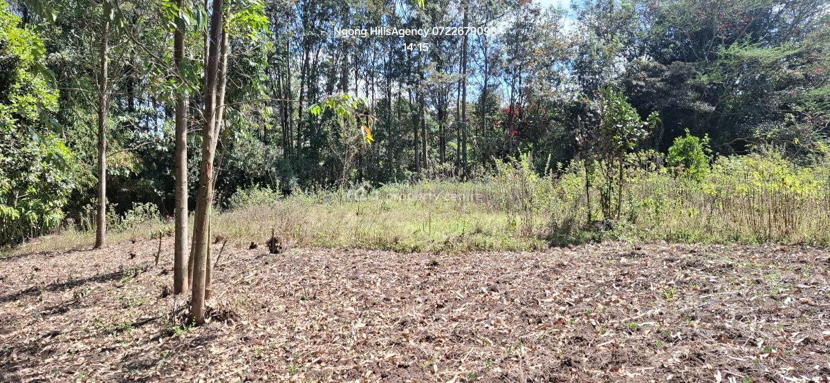 a Prime 1-acre Canvas at Nairobis Next Growth Epicenter, Kerarapon Drive, Ngong, Kajiado, Commercial Land for Sale