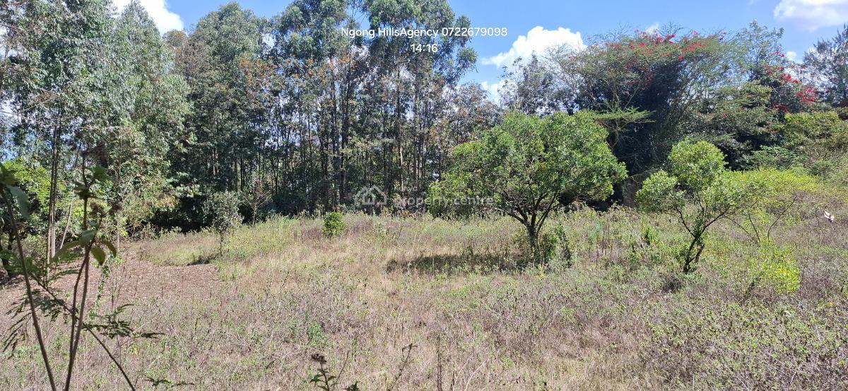 a Prime 1-acre Canvas at Nairobis Next Growth Epicenter, Kerarapon Drive, Ngong, Kajiado, Commercial Land for Sale