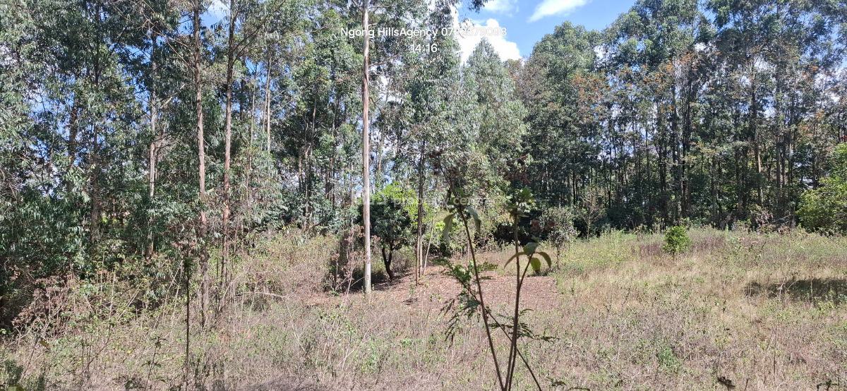 a Prime 1-acre Canvas at Nairobis Next Growth Epicenter, Kerarapon Drive, Ngong, Kajiado, Commercial Land for Sale
