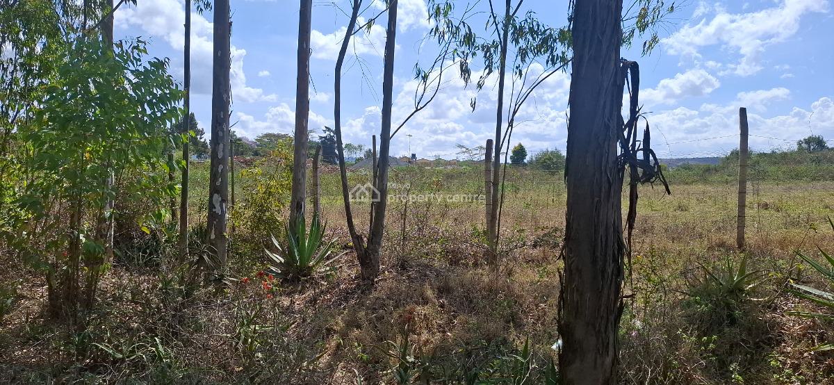 a Prime 1-acre Canvas at Nairobis Next Growth Epicenter, Kerarapon Drive, Ngong, Kajiado, Commercial Land for Sale