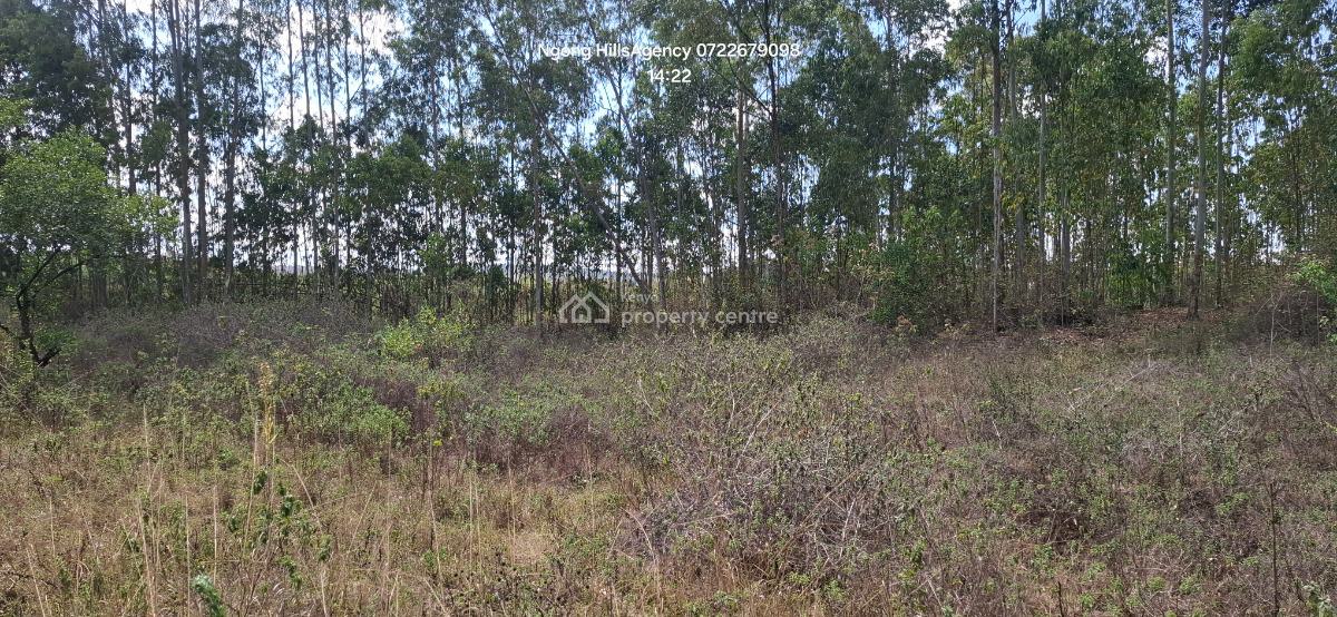 a Prime 1-acre Canvas at Nairobis Next Growth Epicenter, Kerarapon Drive, Ngong, Kajiado, Commercial Land for Sale