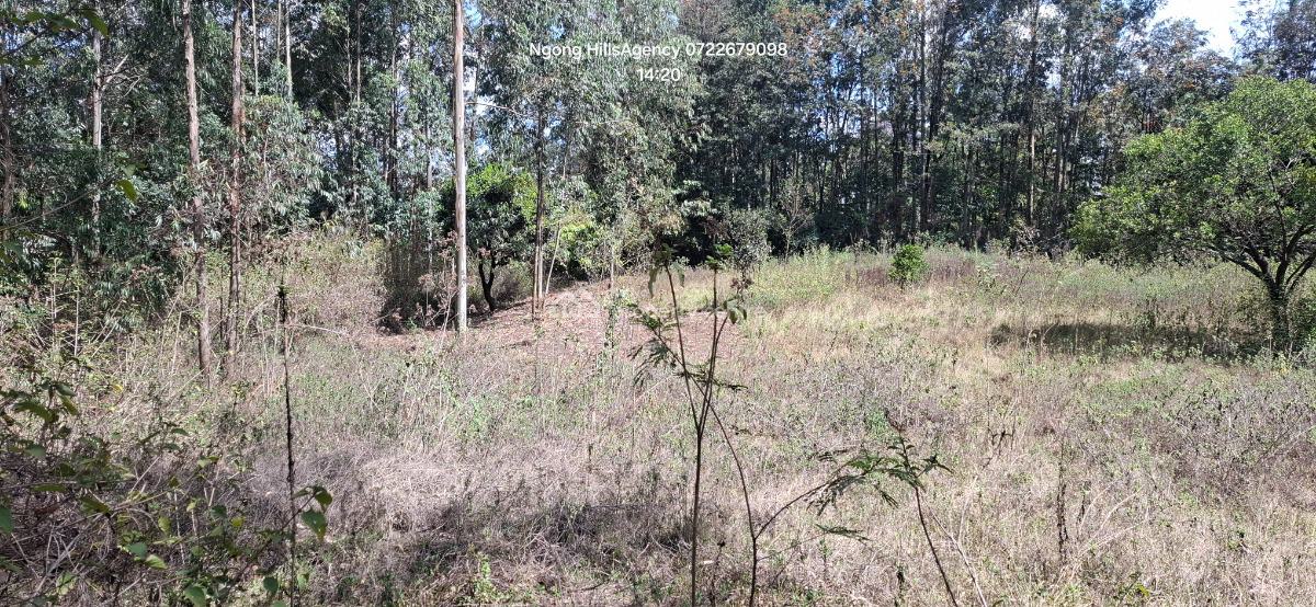 a Prime 1-acre Canvas at Nairobis Next Growth Epicenter, Kerarapon Drive, Ngong, Kajiado, Commercial Land for Sale