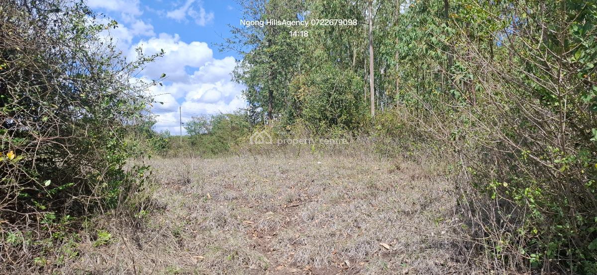 a Prime 1-acre Canvas at Nairobis Next Growth Epicenter, Kerarapon Drive, Ngong, Kajiado, Commercial Land for Sale