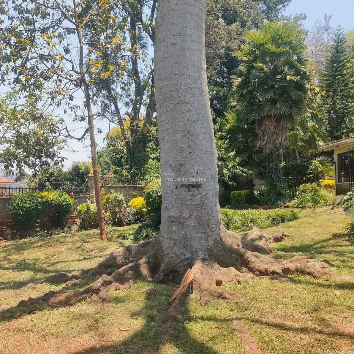 Luxury 5-bedroom Mansion, Gigiri, Westlands, Nairobi, House for Sale