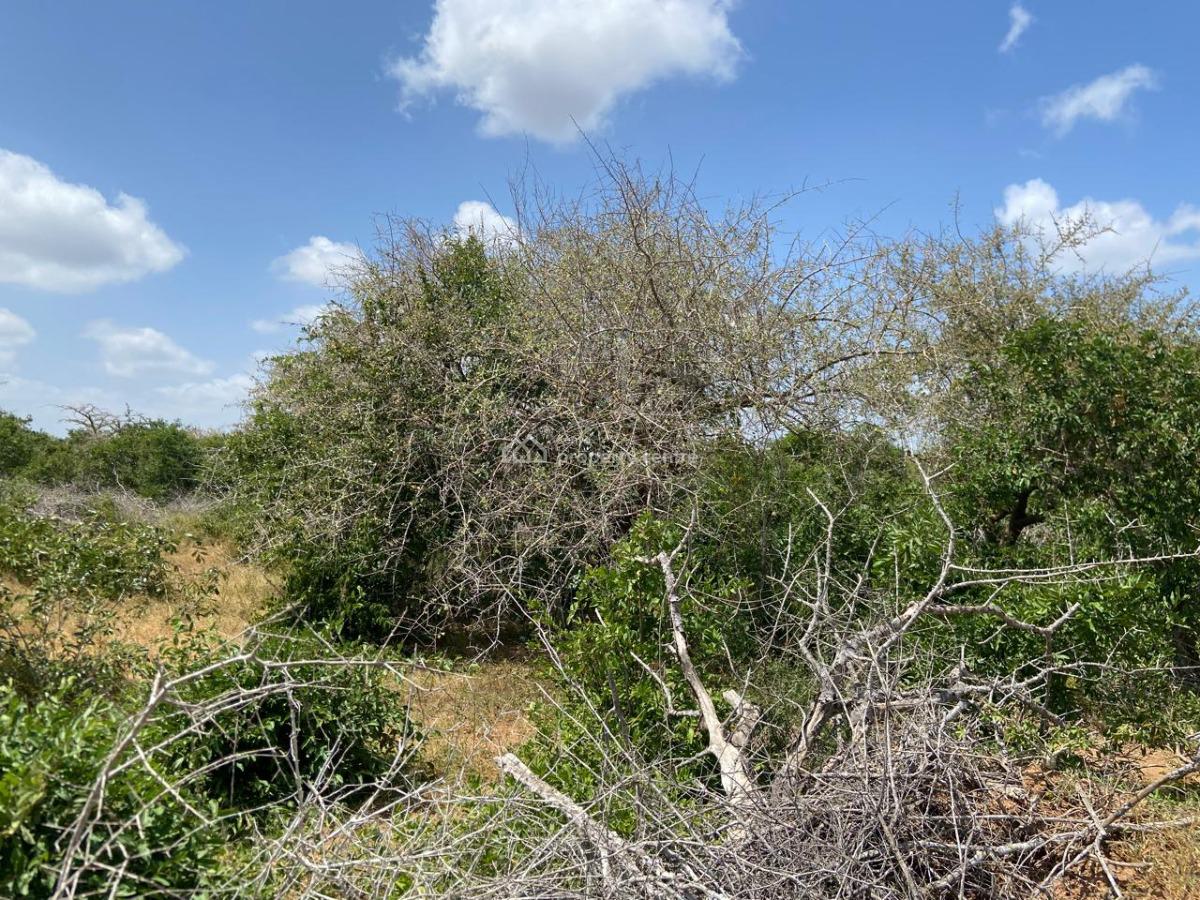 Affordable 15 Acre Fertile Land, Malindi - Tsavo Road, Malindi, Malindi Town, Kilifi, Mixed-use Land for Sale