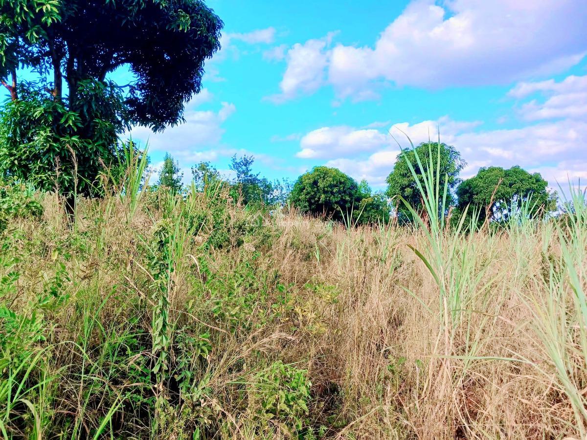 Makuyu Maragua, Makuyu Maragua, Makuyu, Muranga, Commercial Land for Sale