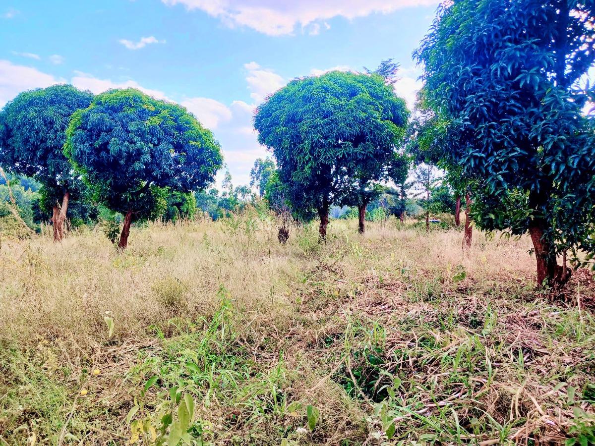 Makuyu Maragua, Makuyu Maragua, Makuyu, Muranga, Commercial Land for Sale