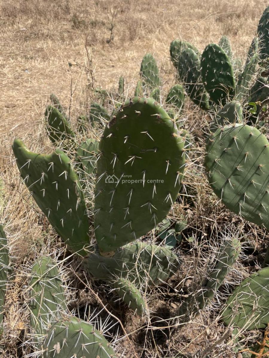 Prime 2.71 Acres, Upper Hill, Nairobi Central, Nairobi, Land for Sale