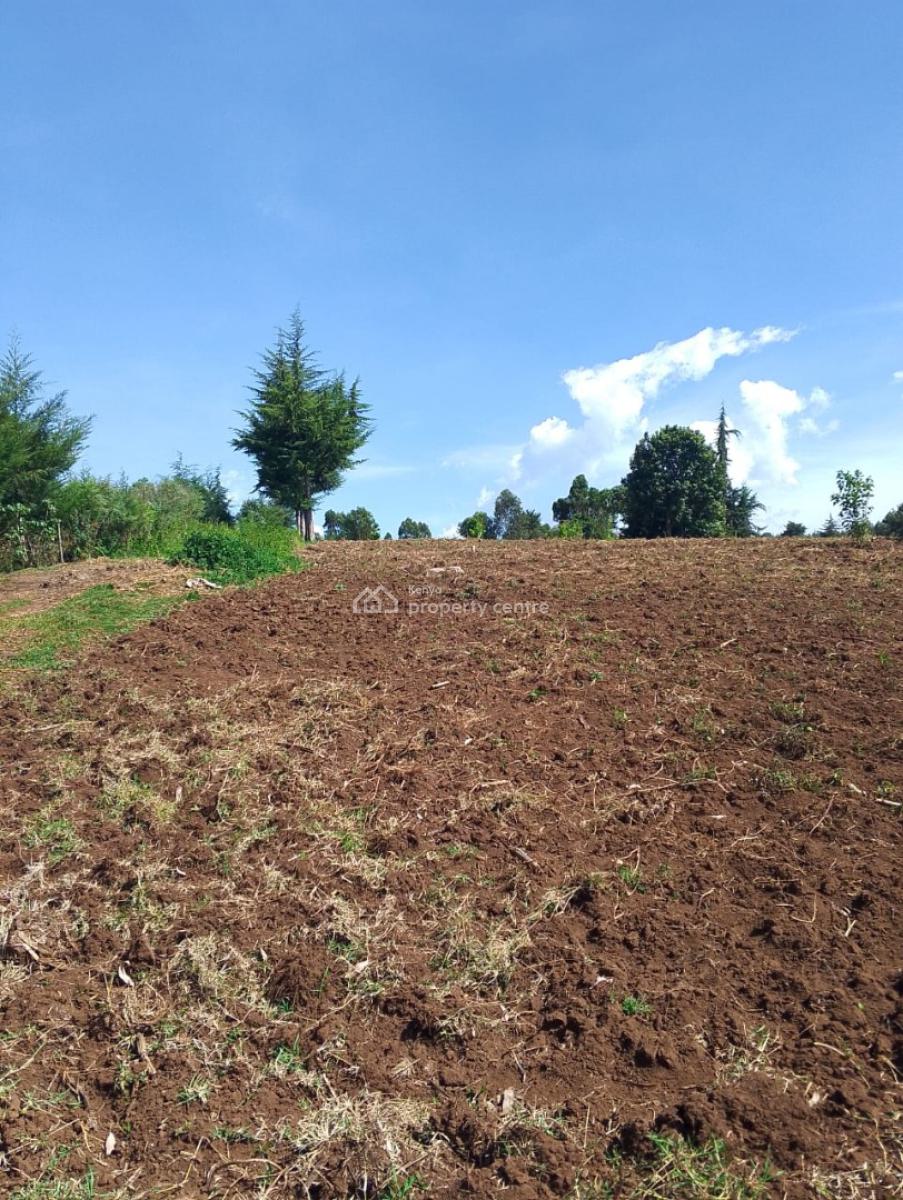 12 Acres Agricultural Land in  Kieni East, Nyeri County, Kieni East.kabaru, Naromoru Kiamathaga, Nyeri, Mixed-use Land for Sale