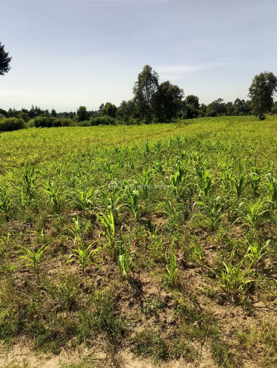 12 Acres Agricultural Land in  Kieni East, Nyeri County, Kieni East.kabaru, Naromoru Kiamathaga, Nyeri, Mixed-use Land for Sale