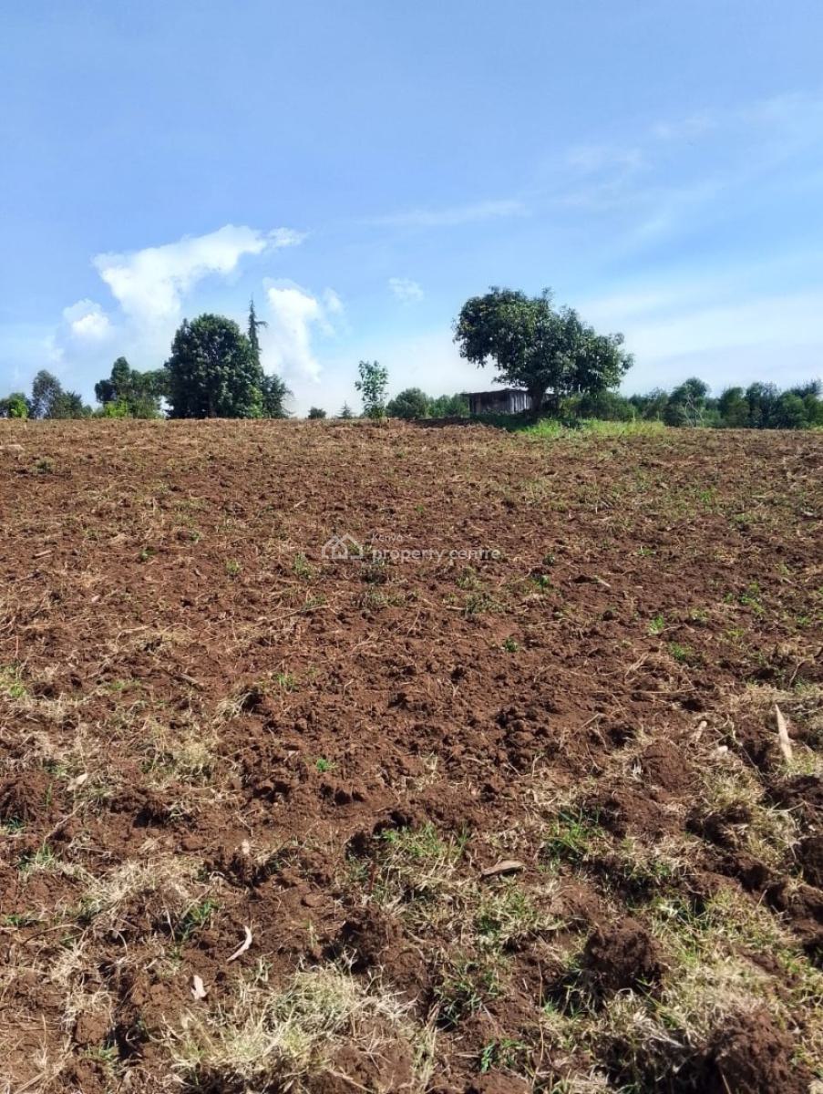 12 Acres Agricultural Land in  Kieni East, Nyeri County, Kieni East.kabaru, Naromoru Kiamathaga, Nyeri, Mixed-use Land for Sale