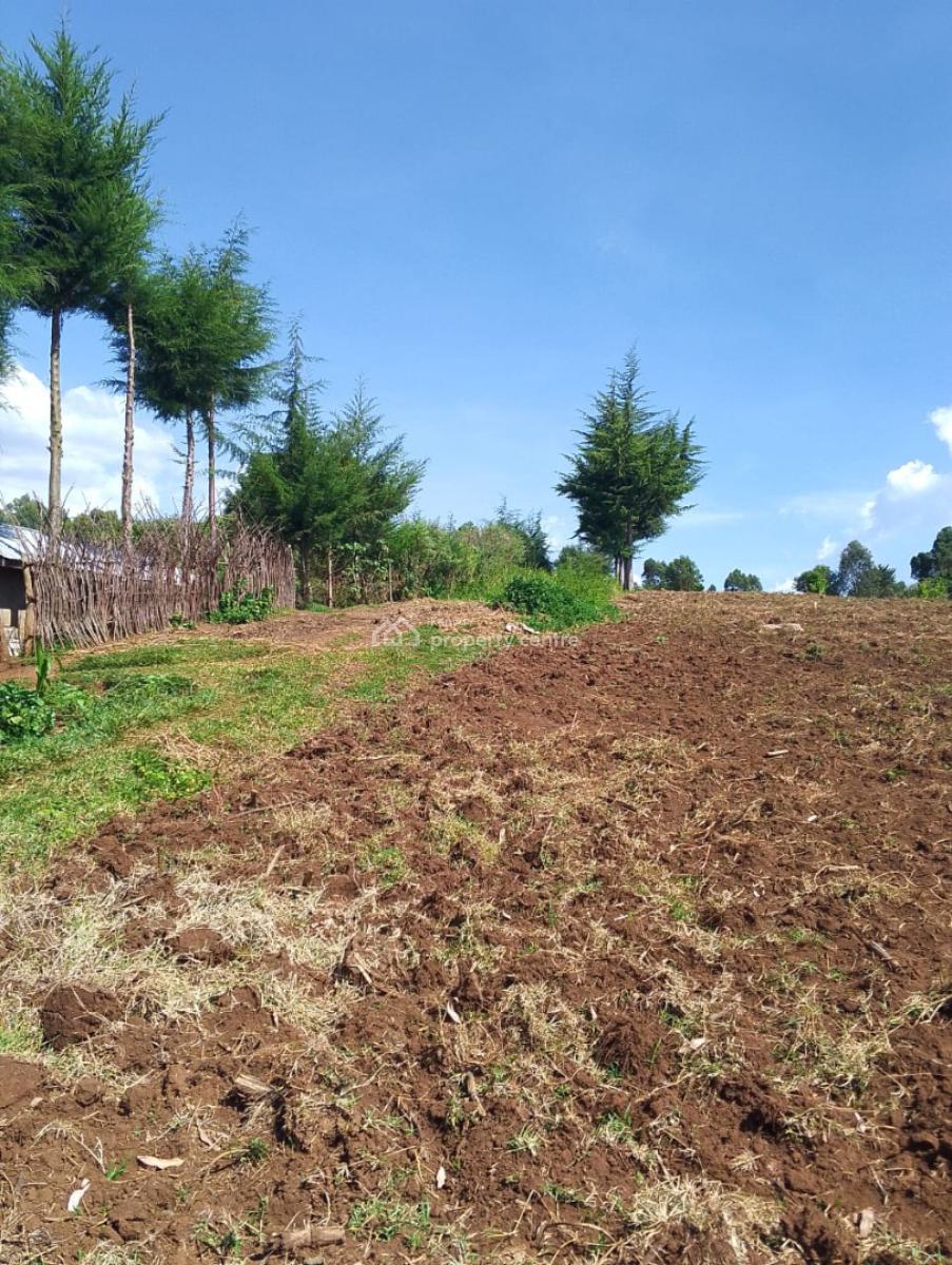 12 Acres Agricultural Land in  Kieni East, Nyeri County, Kieni East.kabaru, Naromoru Kiamathaga, Nyeri, Mixed-use Land for Sale