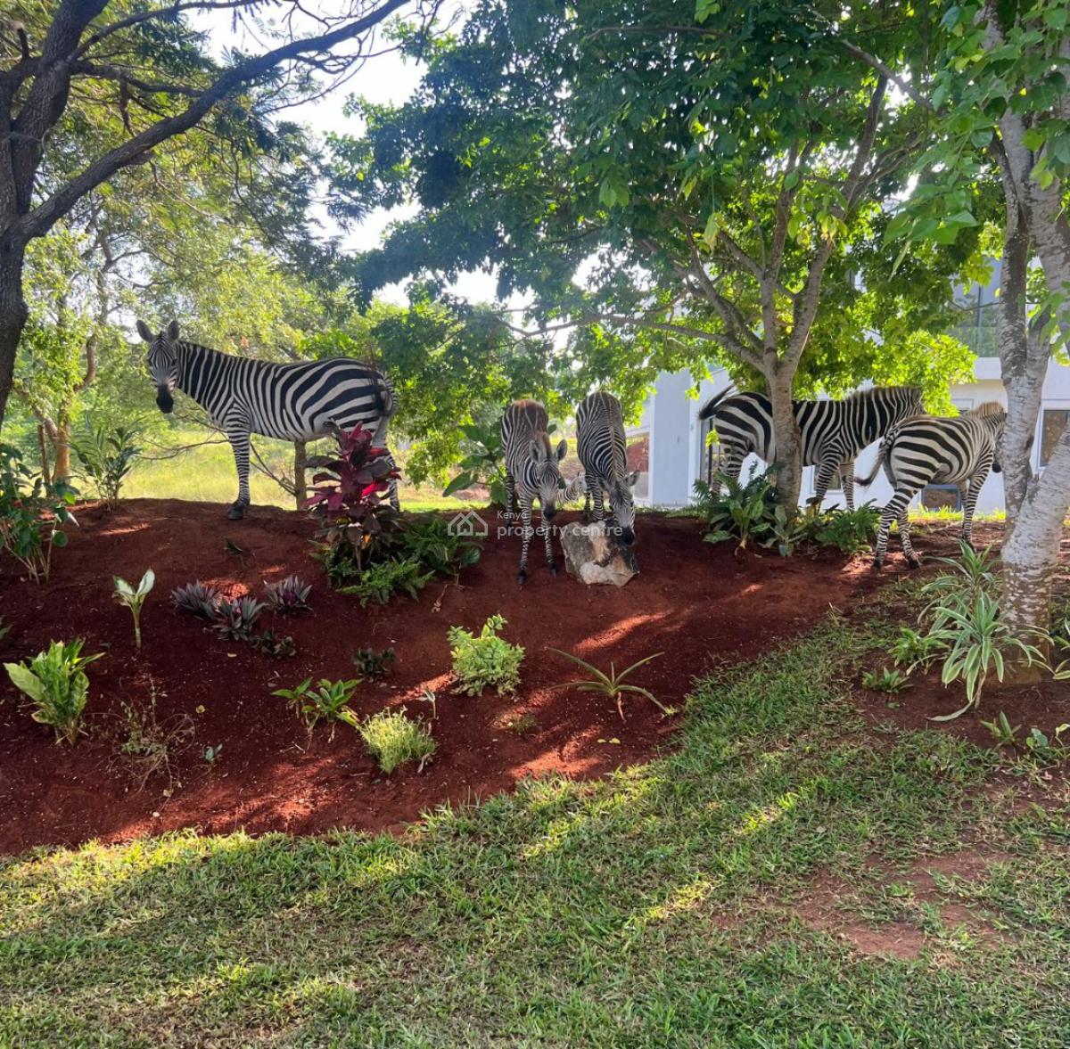 Luxury Home Near The Beach, Vipingo Ridge, Shimo La Tewa, Kilifi, Detached Bungalow for Sale