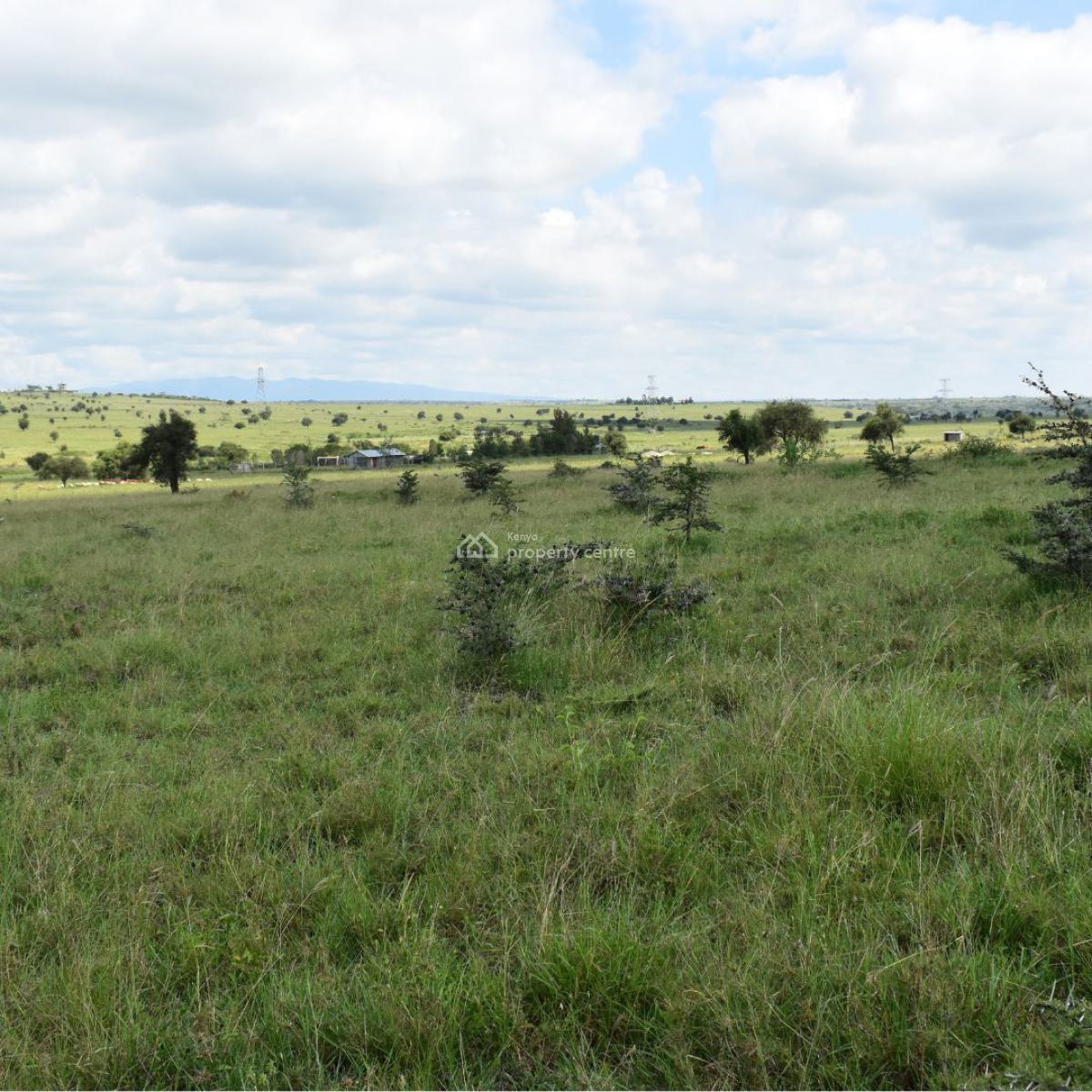 Prime and Serene Residetial Plots in a Developing Neighbourhood, Pine Oak Estate, Kitengela, Kajiado, Residential Land for Sale