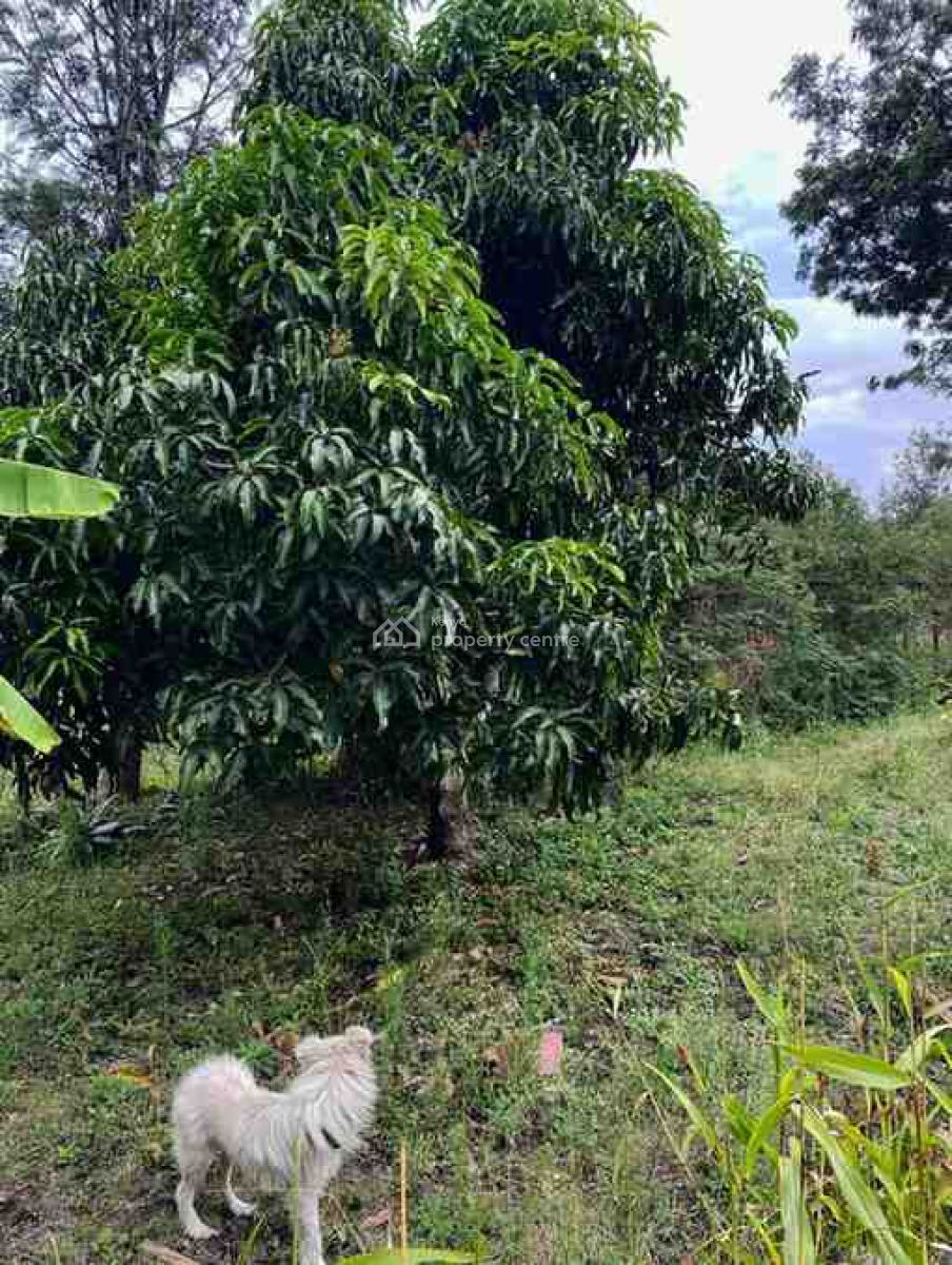 Four Bedroom Mansion in Kiserian, Kiserian, Ongata Rongai, Kajiado, Townhouse for Sale