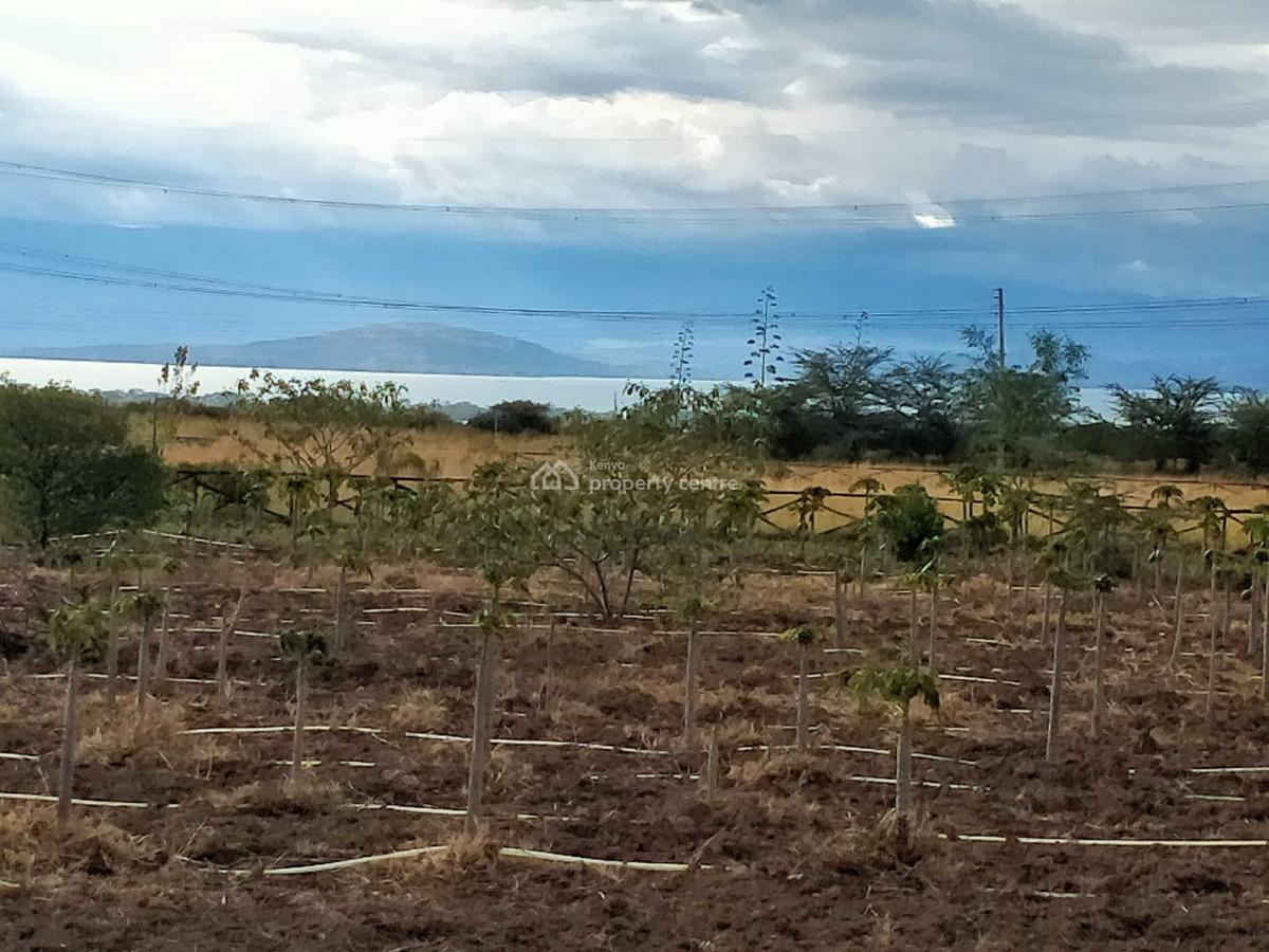 One Acre Naivasha in a Gated Community of 30 Acres Land Freehold Title, Moi South Lake Road, Naivasha East, Nakuru, Residential Land for Sale