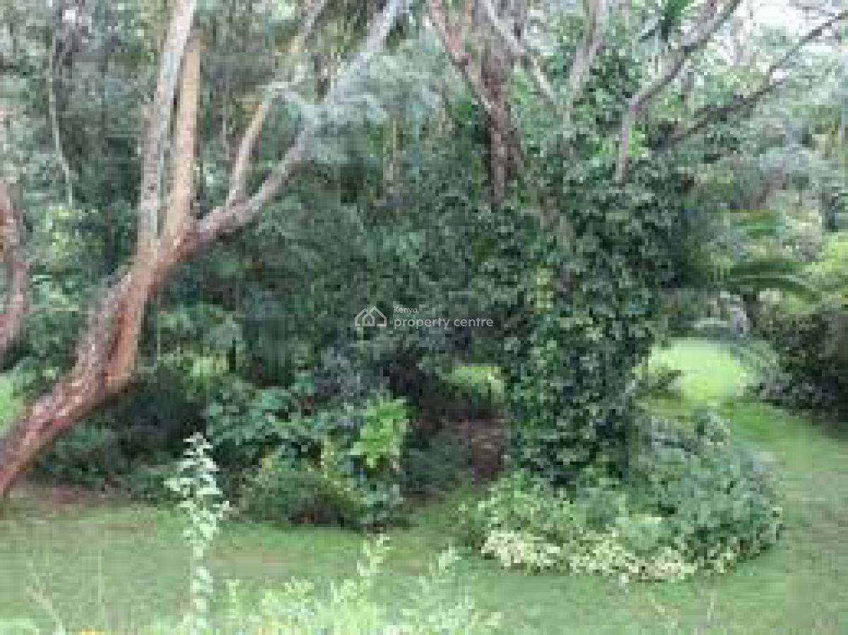 1 Acre in Prestigious Thigiri Ridge, Thigiri Ridge Road, Thigiri, Kitisuru, Nairobi, Residential Land for Sale