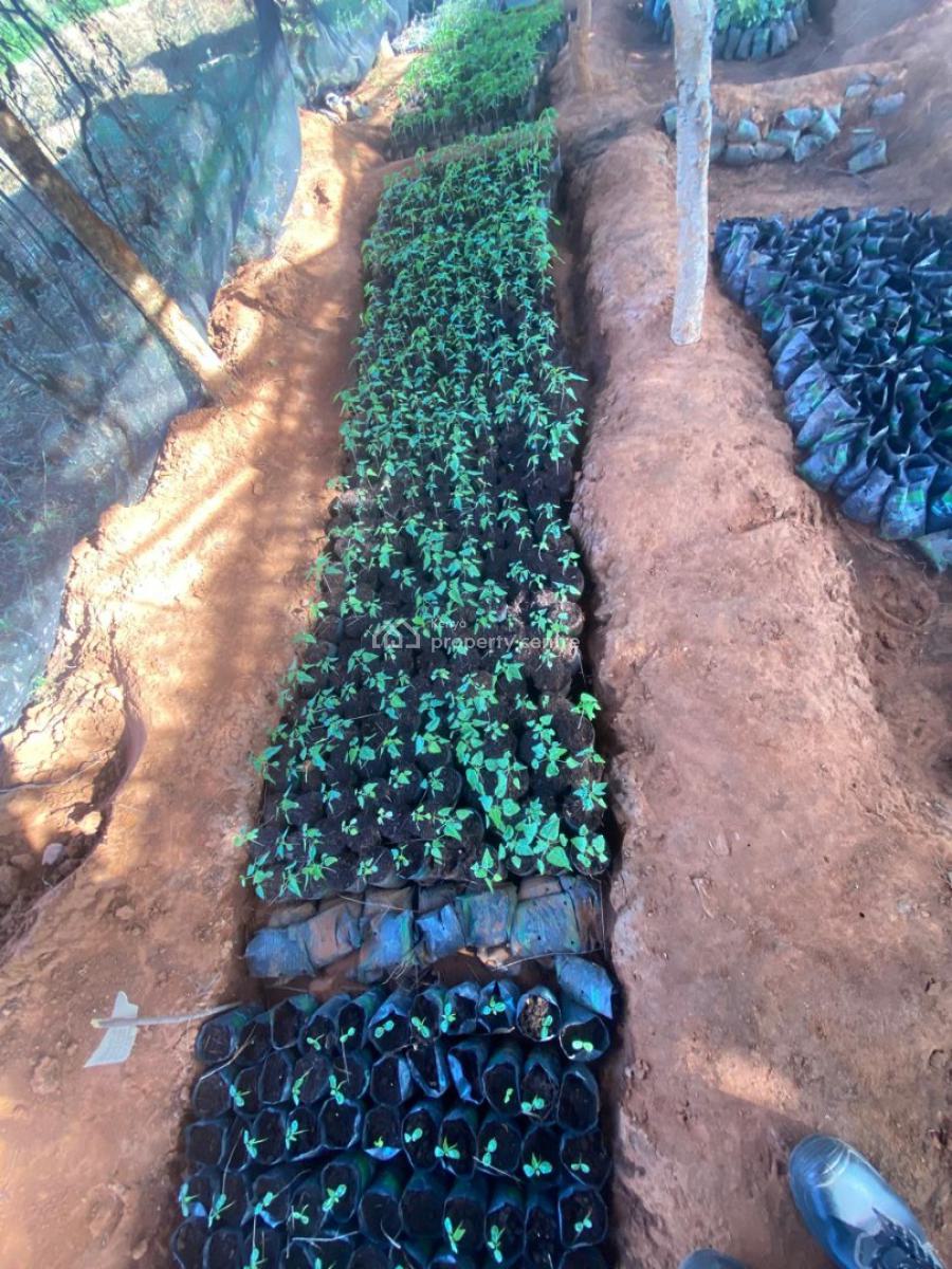 Prime 50 Acres Farm Land, Mbeere North Embu, Mbeti North, Embu, Mixed-use Land for Sale