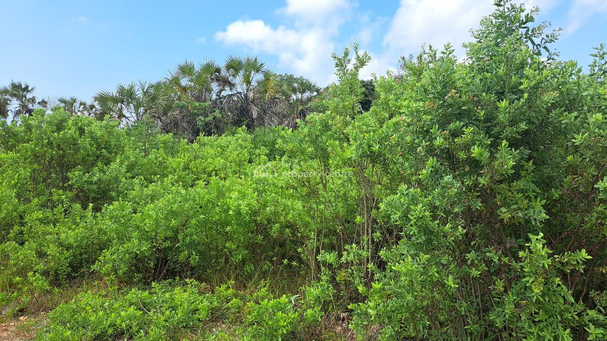 Plots in Diani, Ukunda, Kwale, Residential Land for Sale