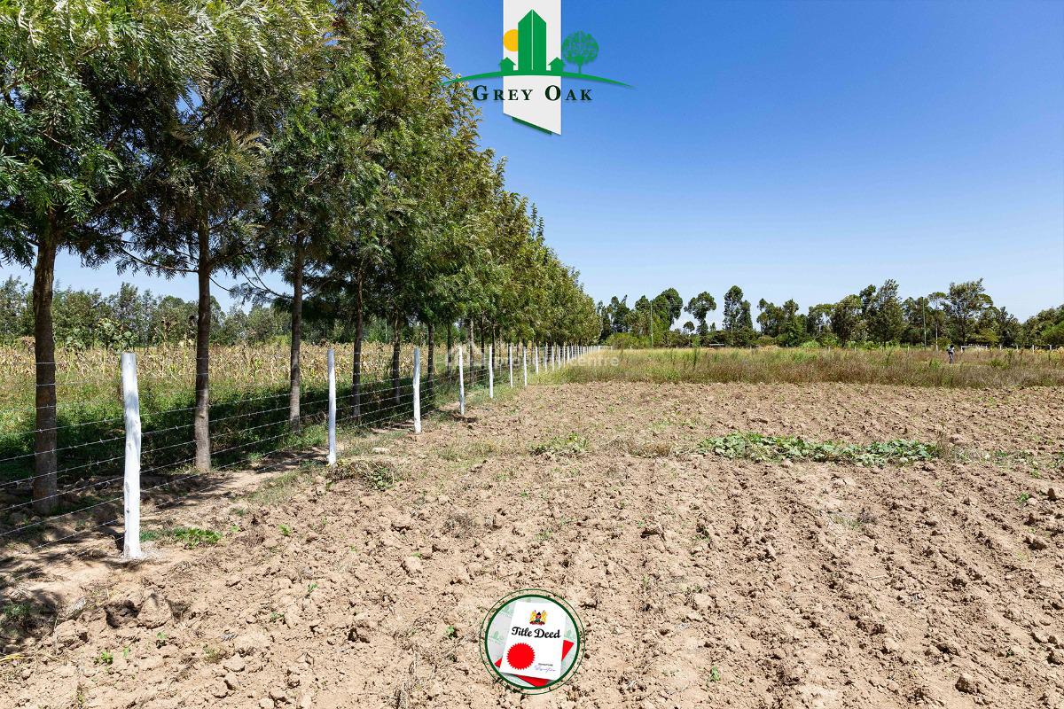 Plots in Nanyuki, Nanyuki, Laikipia, Land for Sale