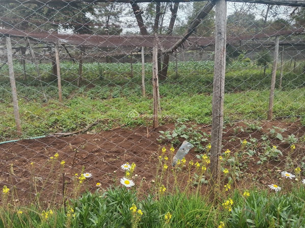 1 Acre Land, Windyridge, Karen, Nairobi, Residential Land for Sale