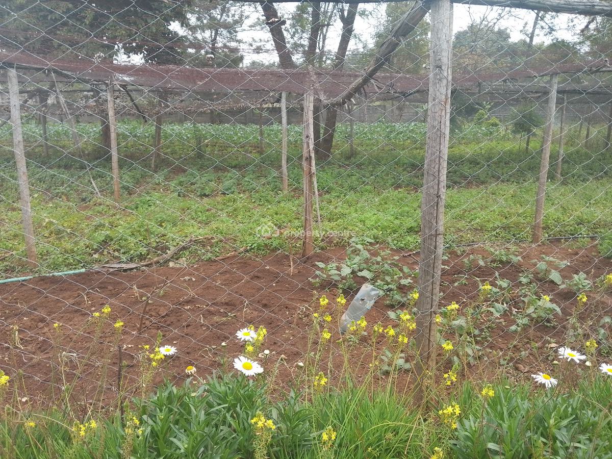 1 Acre Land, Windyridge, Karen, Nairobi, Residential Land for Sale