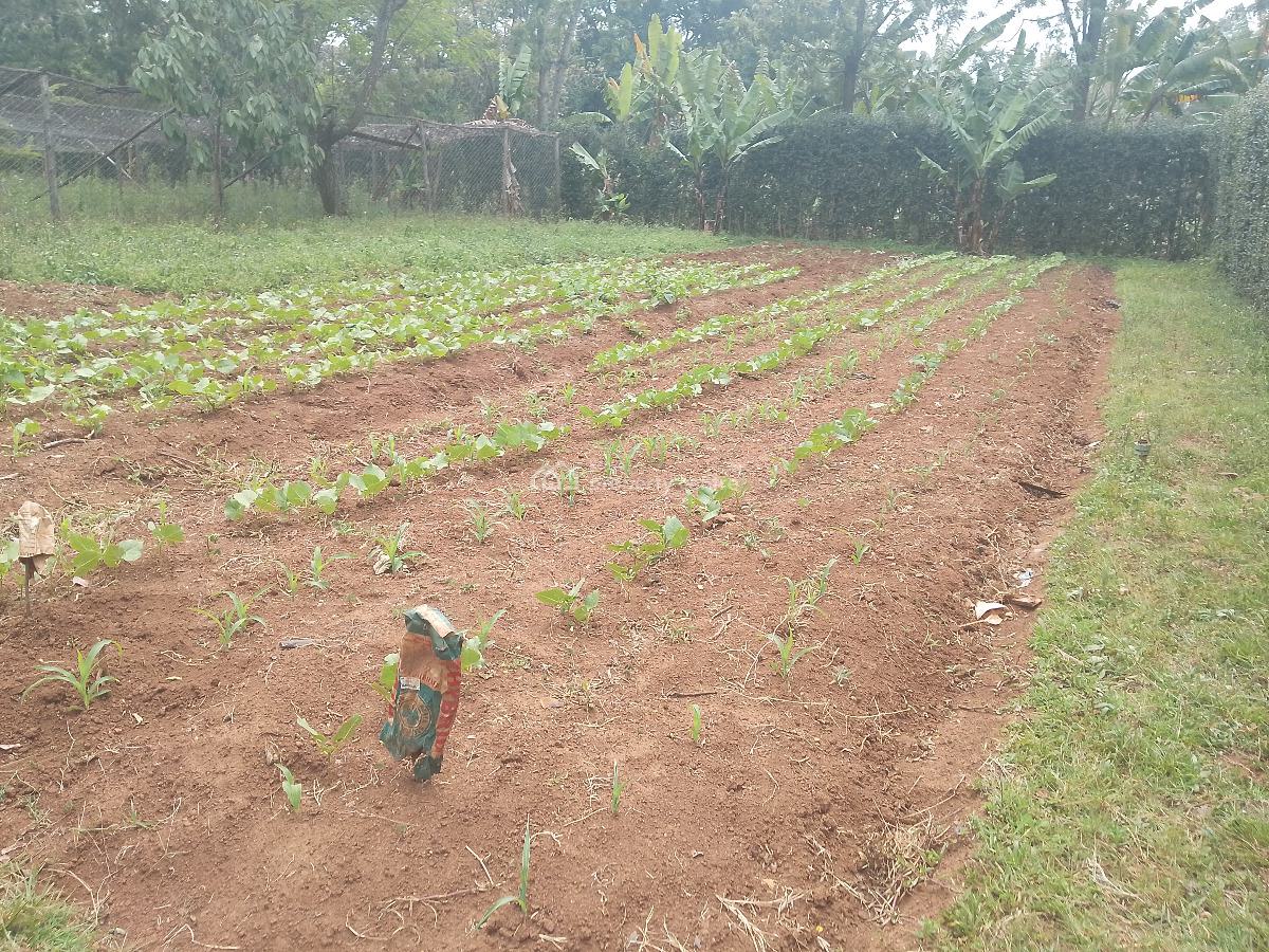 1 Acre Land, Windyridge, Karen, Nairobi, Residential Land for Sale