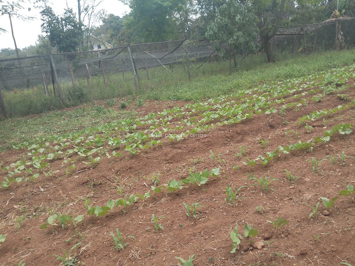1 Acre Land, Windyridge, Karen, Nairobi, Residential Land for Sale