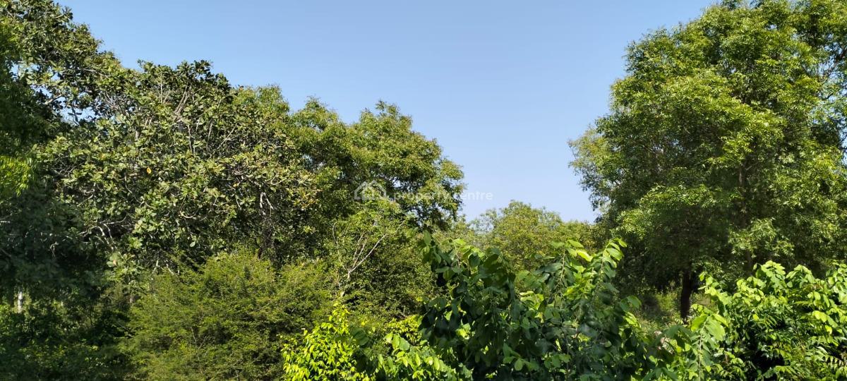 Prime 10-acre Investment Land in Mijomboni, Malindi, Mijomboni, Malindi Town, Kilifi, Commercial Land for Sale