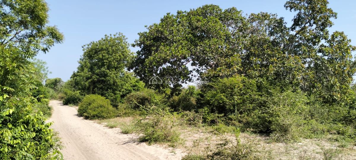 Prime 10-acre Investment Land in Mijomboni, Malindi, Mijomboni, Malindi Town, Kilifi, Commercial Land for Sale
