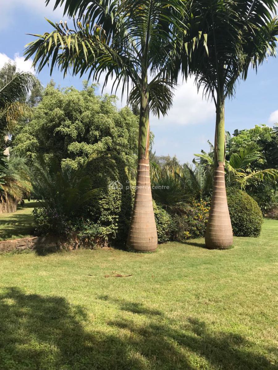 Prime 1.5-acre Hotel Suites Investment in Nyeri, Kamakwa Road, Kamakwa/mukaro, Nyeri, Hotel / Guest House for Sale