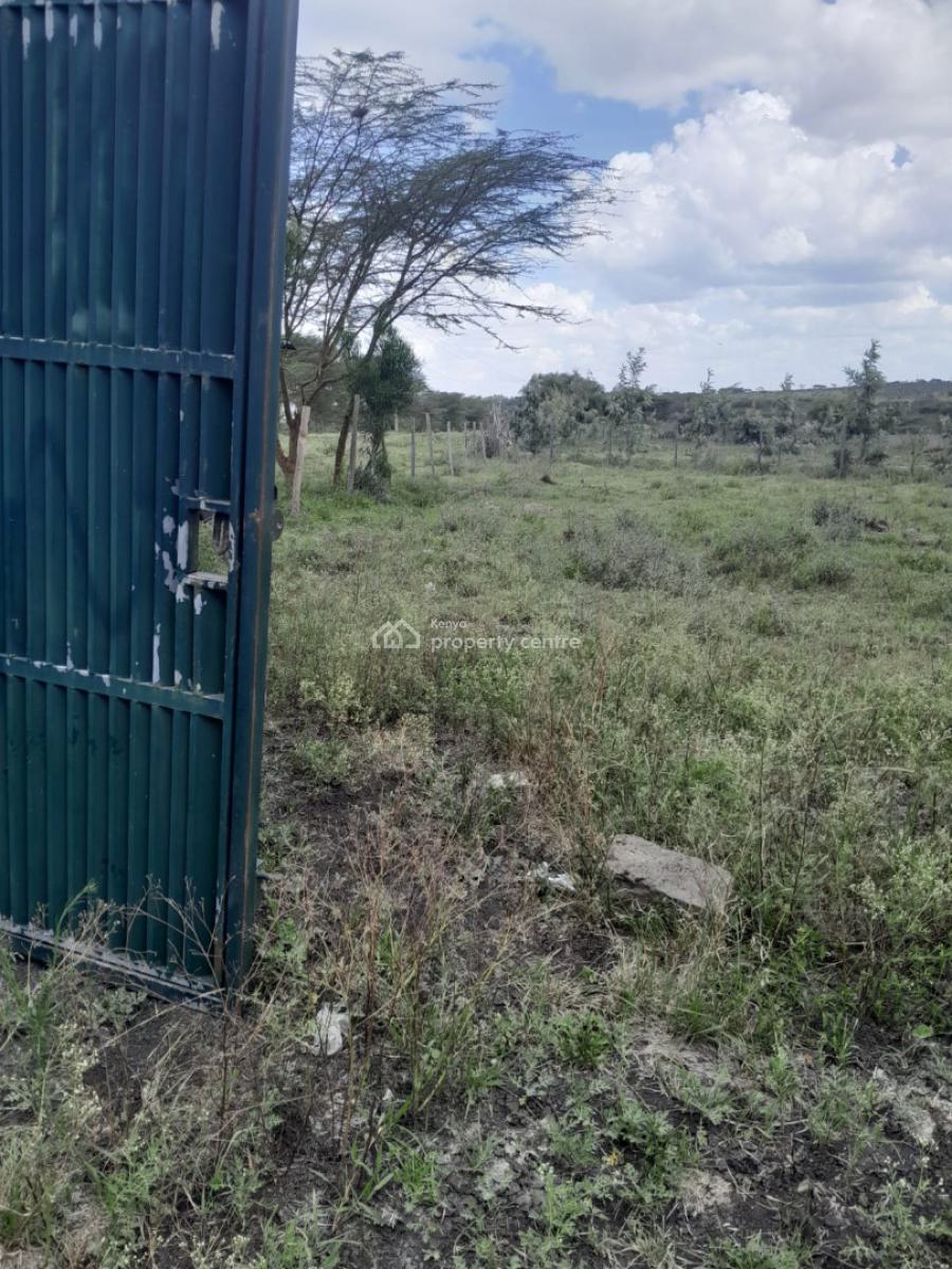 Large Prime Plot, Ngong, Ngong, Kajiado, Land for Sale