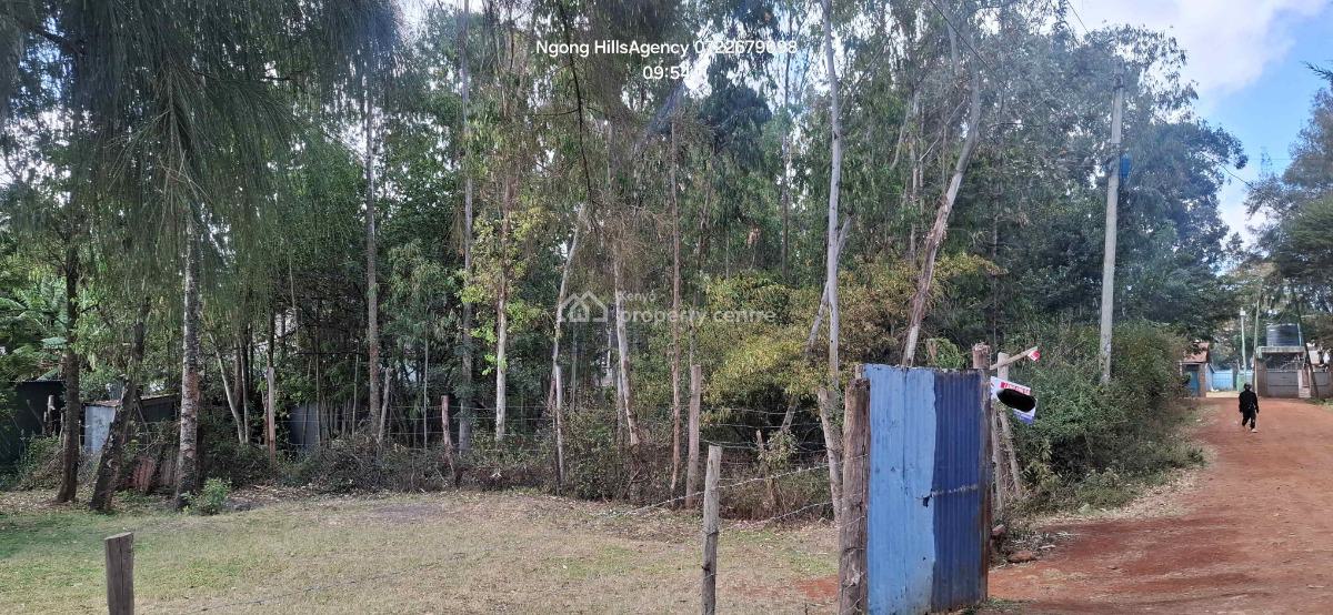 Premier Commercial 100x100 Plot  in Bulbul, Embulbul, Ngong, Kajiado, Commercial Property for Sale