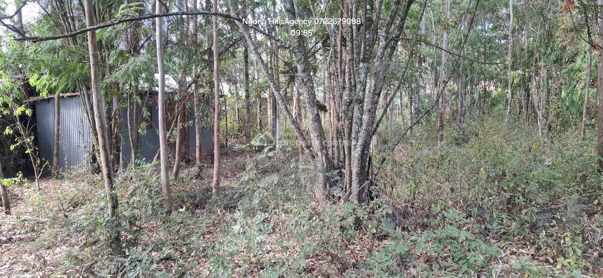 Premier Commercial 100x100 Plot  in Bulbul, Embulbul, Ngong, Kajiado, Commercial Property for Sale