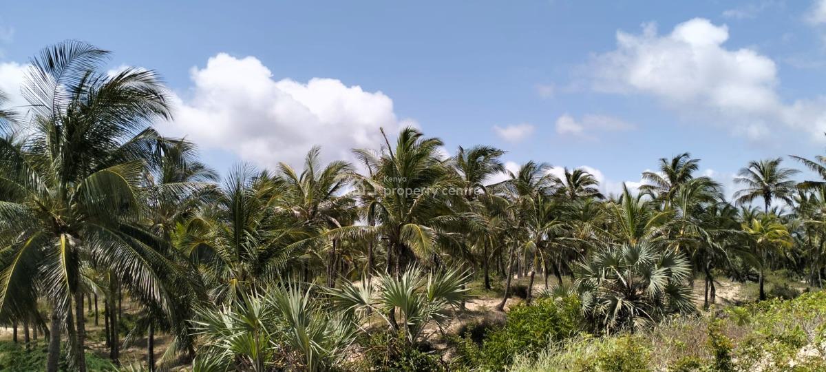 Amoeba 12 Acres Beachfront Paradise, Ngomeni Road, Malindi Town, Kilifi, Land for Sale