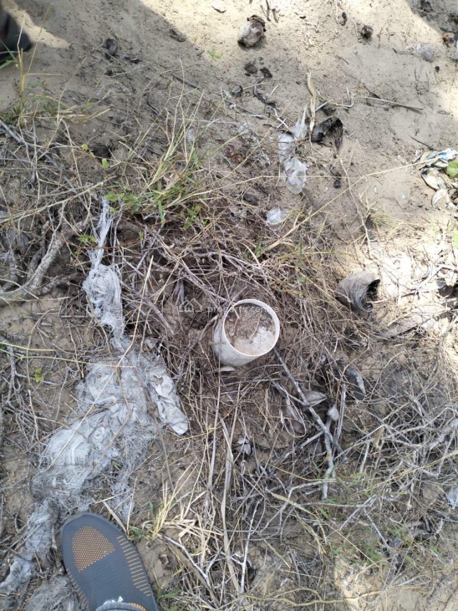 Amoeba 12 Acres Beachfront Paradise, Ngomeni Road, Malindi Town, Kilifi, Land for Sale